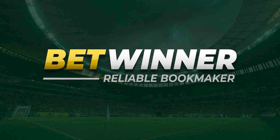 Understanding the Benefits of Baji Live VIP Account