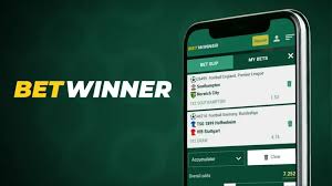 Exploring the BetWinner Betting Platform A Comprehensive Guide -622835108